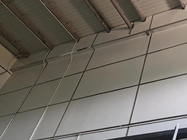 66b9c87e2f029.jpg 01.jpg